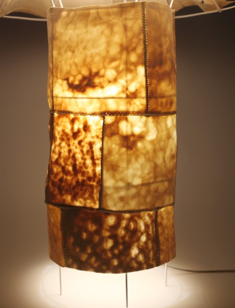 Exhibition Image