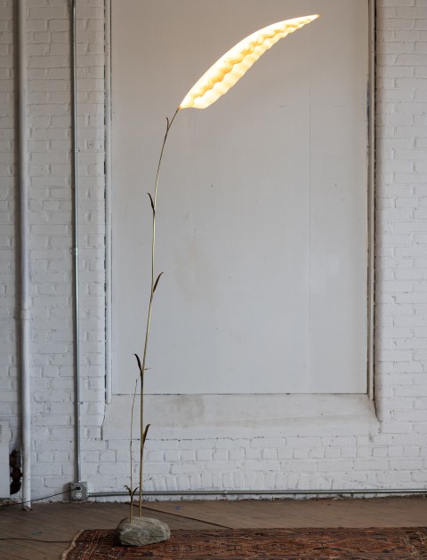Exhibition Image
