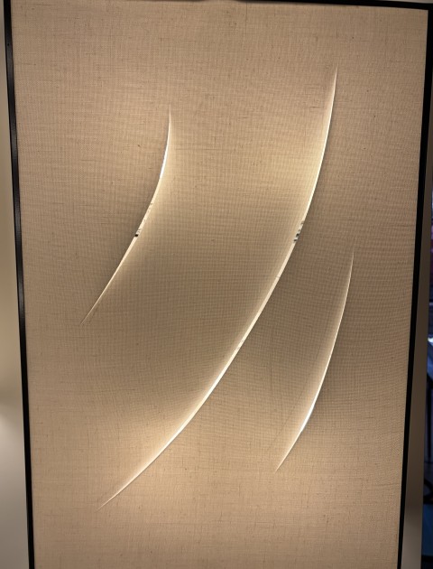 Exhibition Image